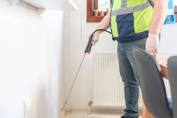 Best Termite Control Services  in Carolina Shores, NC